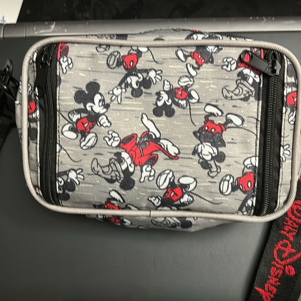 Small Walt Disney World bag with Walt Disney world strap - Picture 2 of 3